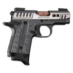 Kimber Micro 9 Rapide Dusk 9mm Luger 3in Stainless Pistol – 7+1 Rounds