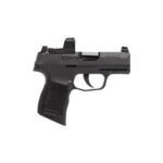 Sig Sauer P365 380 Auto (ACP) 3.1in Black Nitron Pistol – 10+1 Rounds