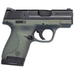Smith & Wesson M&P 9 Shield 9mm Luger 3.1in Northern Nights Cerakote Pistol – 8+1 Rounds – California Compliant